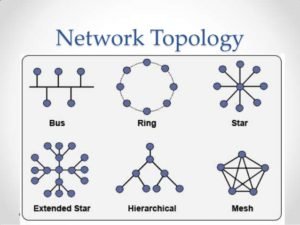 What are the different types of topology used for networking?